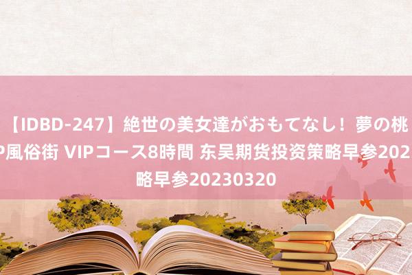 【IDBD-247】絶世の美女達がおもてなし！夢の桃源郷 IP風俗街 VIPコース8時間 东吴期货投资策略早参20230320