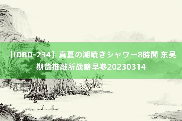 【IDBD-234】真夏の潮噴きシャワー8時間 东吴期货推敲所战略早参20230314