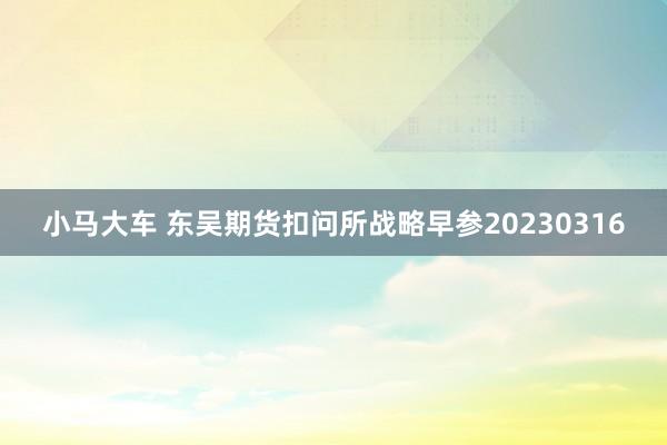 小马大车 东吴期货扣问所战略早参20230316