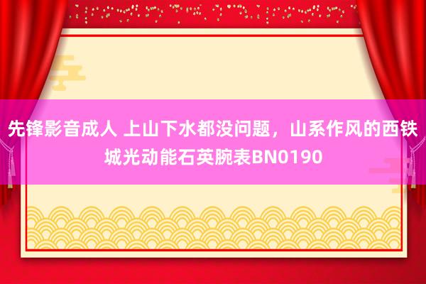 先锋影音成人 上山下水都没问题，山系作风的西铁城光动能石英腕表BN0190