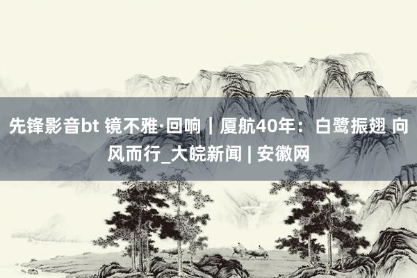 先锋影音bt 镜不雅·回响｜厦航40年：白鹭振翅 向风而行_大皖新闻 | 安徽网