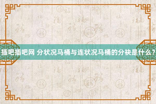 插吧插吧网 分状况马桶与连状况马桶的分袂是什么？