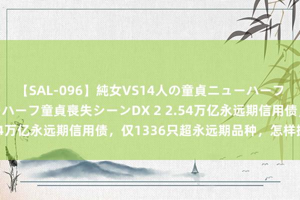 【SAL-096】純女VS14人の童貞ニューハーフ 二度と見れないニューハーフ童貞喪失シーンDX 2 2.54万亿永远期信用债，仅1336只超永远期品种，怎样掘金？