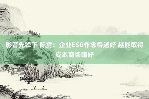 影音先锋下 陈雳：企业ESG作念得越好 越能取得成本商场嗜好