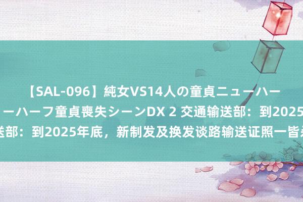 【SAL-096】純女VS14人の童貞ニューハーフ 二度と見れないニューハーフ童貞喪失シーンDX 2 交通输送部：到2025年底，新制发及换发谈路输送证照一皆杀青电子化