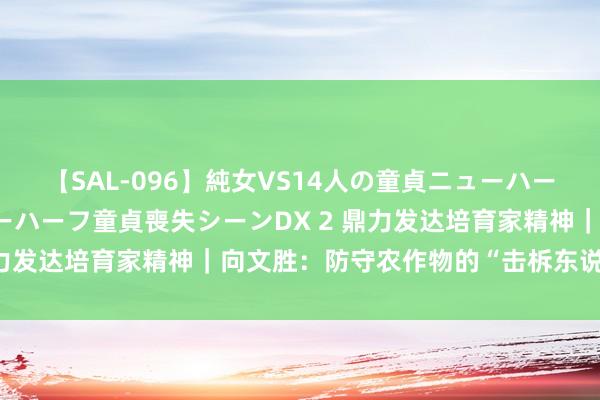 【SAL-096】純女VS14人の童貞ニューハーフ 二度と見れないニューハーフ童貞喪失シーンDX 2 鼎力发达培育家精神｜向文胜：防守农作物的“击柝东说念主”