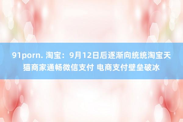 91porn. 淘宝：9月12日后逐渐向统统淘宝天猫商家通畅微信支付 电商支付壁垒破冰