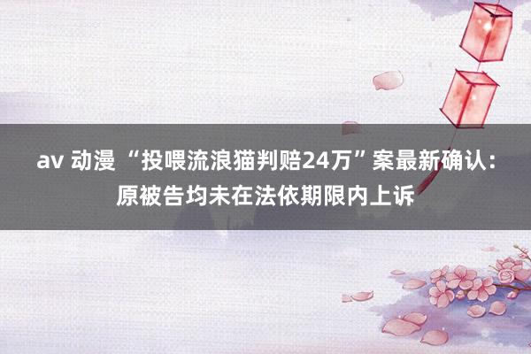 av 动漫 “投喂流浪猫判赔24万”案最新确认：原被告均未在法依期限内上诉